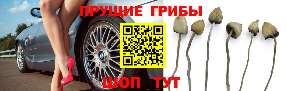 Псилоцибиновые грибы прущие грибы  Вход с VPN  Верхний Уфалей  Псилоцибиновые грибы Magic Shrooms 